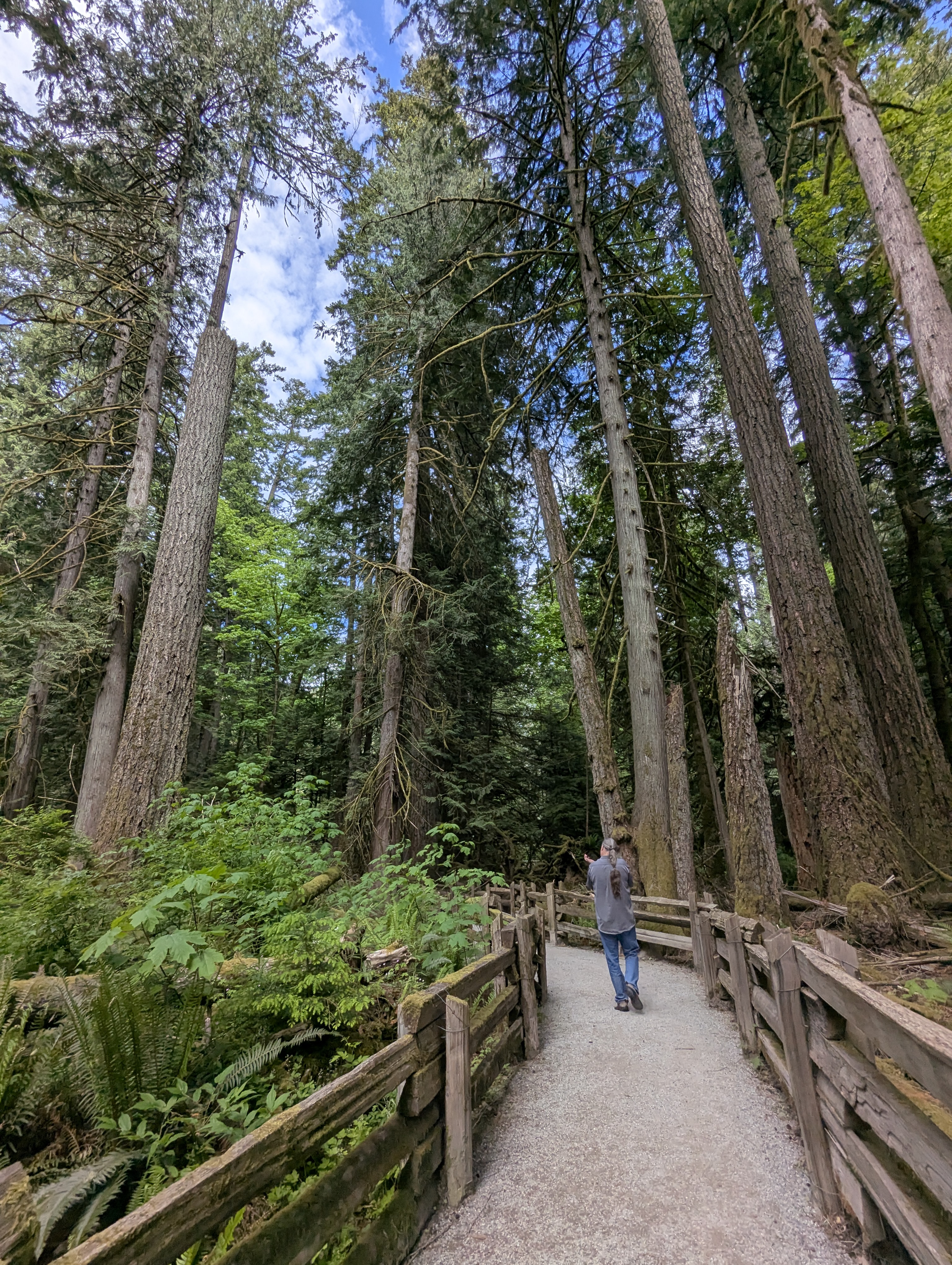Birthday Trip to Canada, Cathedral Grove, Vancouver Island